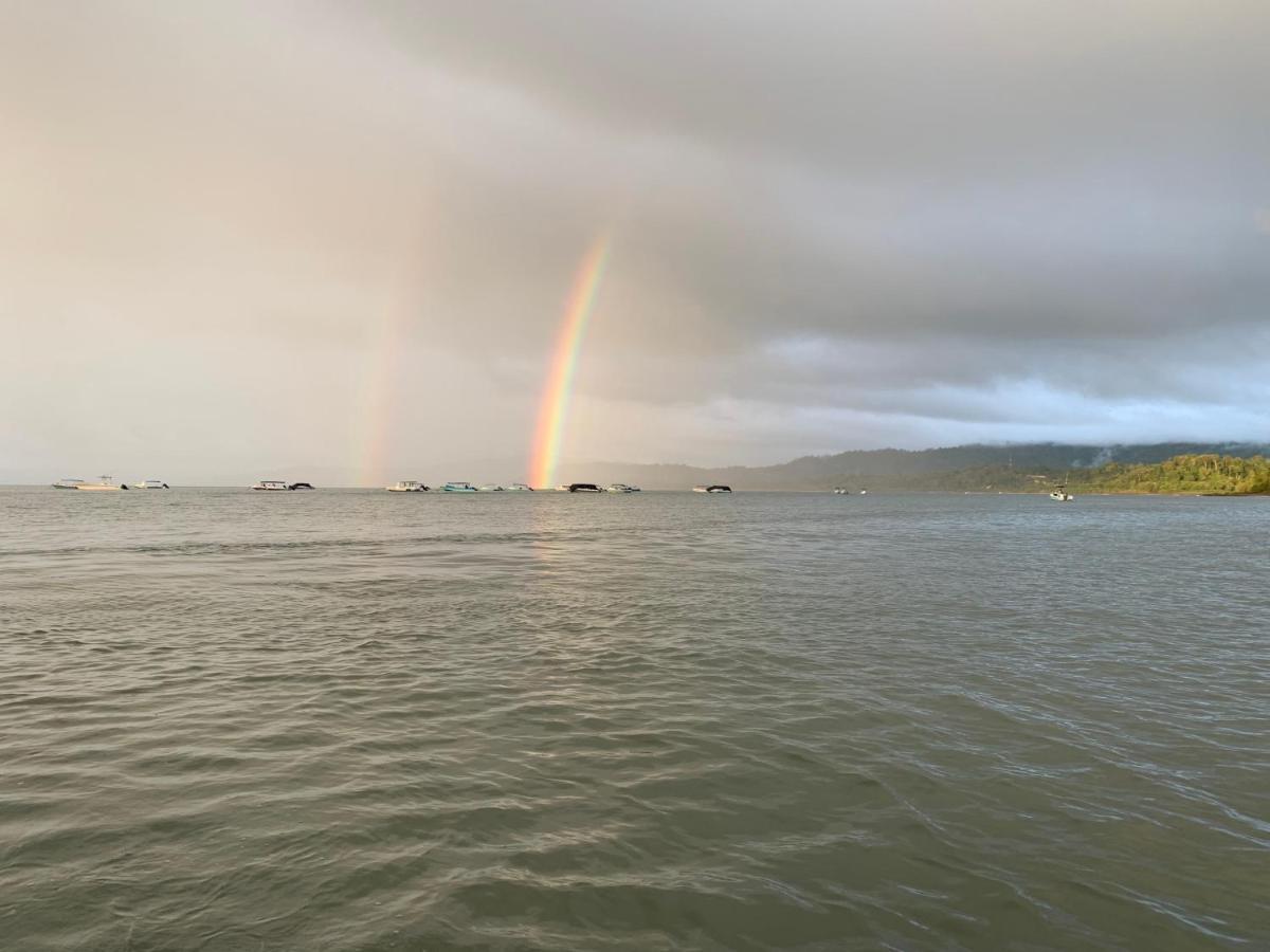 Osa Corcovado Lodge Drake Bay ภายนอก รูปภาพ